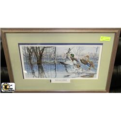 BACK WATER MALLARDS BY DAVE BRANDON 1969/5000