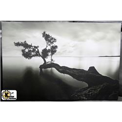 CANVAS PICTURE - WILDERNESS/LAKE -