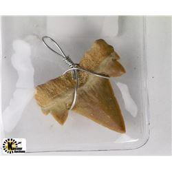 REAL SHARK TOOTH