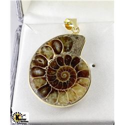 NATURAL AMMOLITE PENDANT