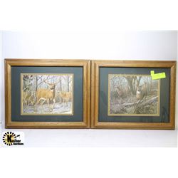 SET OF 2 DEER PICTURES - 11" X 14"