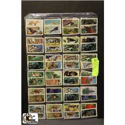 VINTAGE RED ROSE TEA CARDS