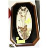 Image 1 : GENUINE BUTTERFLY SHADOW BOX DISPLAY