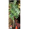 Image 1 : ARTIFICIAL FIG TREE SPIRAL TRUNK 6FT