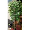 Image 1 : ARTIFICIAL FIG TREE SPIRAL TRUNK 6FT