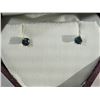 Image 1 : 10K GOLD BLUE DIAMOND(0.32CT) EARRINGS