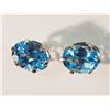 Image 1 : 14K GOLD BLUE TOPAZ EARRINGS