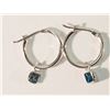 Image 1 : 14K GOLD BLUE DIAMOND(0.41CT) HOOP EARRINGS