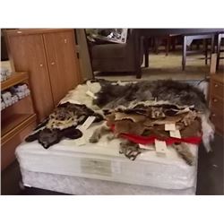 ASSORTED ANIMAL PELTS AND RUGS - SOME RAW HIDES ASSORTED ANIMAL PELTS AND RUGS - SOME RAW HIDES AND 