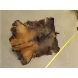 ANIMAL PELT - GOAT - HAS NO HEAD - RAW UNDERSIDE - 31" NECK TO TAIL