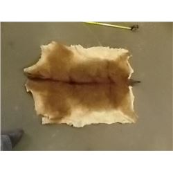 ANIMAL PELT - DEER - HAS NO HEAD - RAW UNDERSIDE - 43" NECK TO TAIL