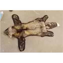 ANIMAL PELT - FOX - HAS HEAD - FINISHED UNDERSIDE - 56" NOSE TO TAIL