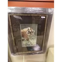 FRAMED LIMITED EDITION PRINT - CATWALK TIGER - TERRY ISAAC - GALLERY ESTIMATE - $525