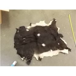 ANIMAL PELT - GOAT? - HAS NO HEAD - RAW UNDERSIDE - 48" NECK TO TAIL