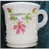 Image 2 : Milk Glass Cup "Souvenir of Tama, Iowa." Floral design. No chips or apparent damage.