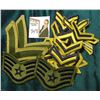 Image 2 : (20) Single Airforce,  (1) Double Stripe PFC Airforce, (2) Airforce Cloth Military Patches.