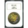Image 1 : 1881-S $1 MS64 NGC.