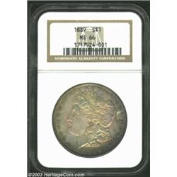 1889 $1 MS66 NGC.