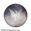 Image 2 : 1882 $1 PR64 PCGS.