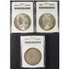 Image 1 : ( 3 ) ANACS GRADED MORGAN DOLLARS: 1879 MS-60. 1889 MS-61 & 1901-O MS-61