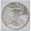 Image 2 : 2013 AMERICAN SILVER EAGLE, PCSS PERFECT GEM BU