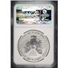 Image 4 : 2006-P 20th ANNIVERSARY SILVER EAGLE, REVERSE PROOF, NGC PR-69