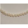 Image 2 : #12-FRESHWATER PEARL NECKLACE W/ STERLING SILVER