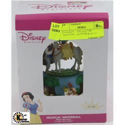 DISNEY PRINCESS MUSICAL WATERBALL