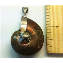 NATURAL AMMOLITE PENDANT