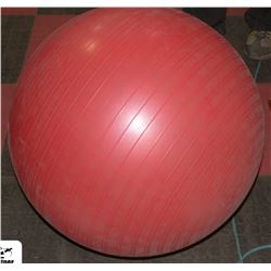 EXERCISE BALL