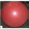 Image 1 : EXERCISE BALL