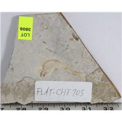 LYCOPTERA FOSSIL FISH FROM JURASSIC