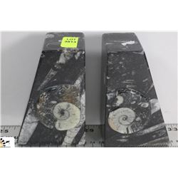 AMMONITE FOSSIL BOOKEND