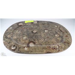 LARGE ONE OF A KIND FOSSILIZED PLATTER W/ AMMONITE