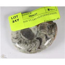 300 MILLION YEARS OLD GONIATITE FOSSIL