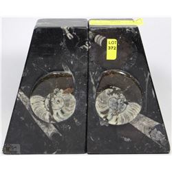 PAIR OF ONE OF A KIND AMMONITE WITH ORTHOCERRAS