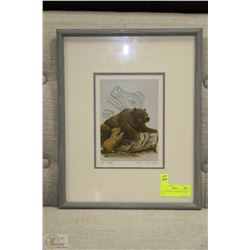 SUE COLEMAN THE BEAR FRAMED PRINT