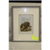 Image 1 : SUE COLEMAN THE BEAR FRAMED PRINT