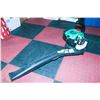 Image 1 : WEED EATER GAS LEAF BLOWER