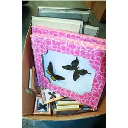 BOX OF FRAMED BUTTERFLIES