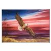 Image 2 : Red White and Blue Limited Edition Giclee on Gallery Wrapped Canvas by Martin Katon, Numbered and Ha