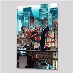 "Amazing Spider-Man #666" LIMITED EDITION Giclee on Canvas by Stefano Caselli. and Marvel Comics, Nu