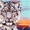 Image 2 : "Snow Leapord Of China" Limited Edition Giclee on Canvas by Martin Katon, Numbered and Hand Signed w