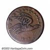 Image 1 : Rare 1863 Flying Eagle VF20 Punch.