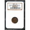Image 1 : 1903 1C Cent--Struck 15% Off Center--MS63 Brown NGC.