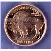 Image 3 : Superb Gem Buffalo and Mercury