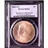 Image 3 : 1882 CC Morgan $1, PCGS MS-64