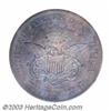 Image 2 : 1859 P$20 Twenty Dollar, Judd-262, Pollock-307, R.6-7, PR64 Brown PCGS.