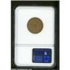 Image 2 : 1843-O $5 Large Letters VF25 NGC.
