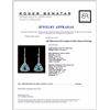 Image 3 : 14K White Gold 2.87ct Apatite & 0.69ct Diamond Ear